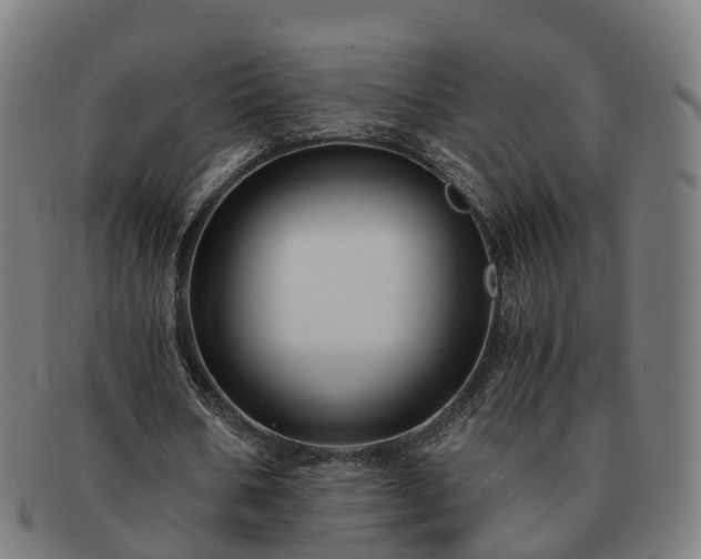 X0000091710578200708311118