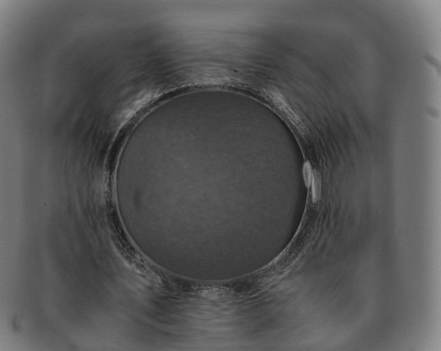 X0000091710579200708311118