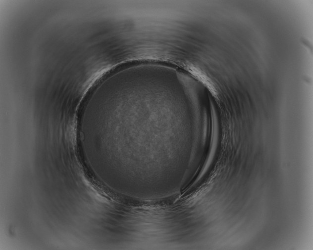 X0000091710580200708311118