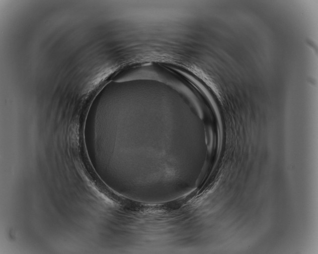 X0000091710581200708311118