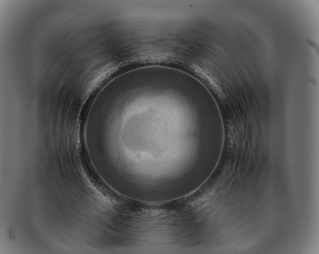 X0000091710582200708311118