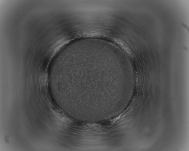 X0000091710583200708311118