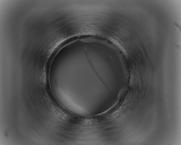 X0000091710584200708311118