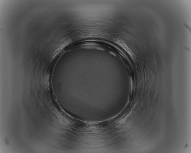 X0000091710585200708311118