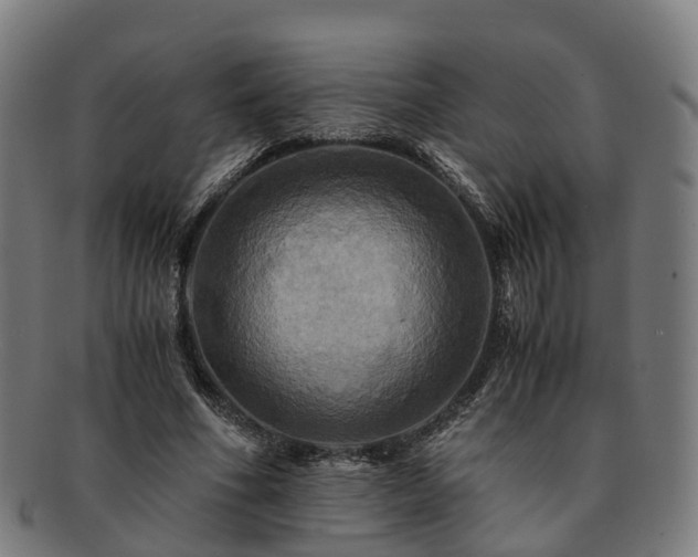 X0000091710586200708311118