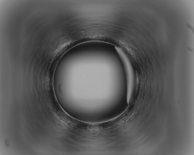 X0000091710587200708311118