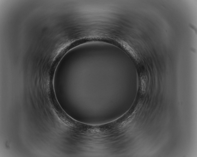 X0000091710588200708311118