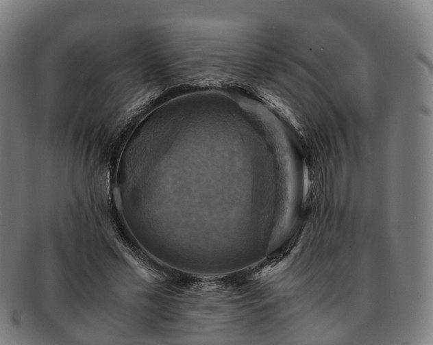 X0000091710589200708311118