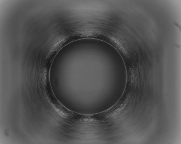 X0000091710590200708311118