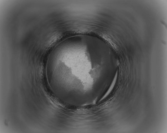 X0000091710591200708311118