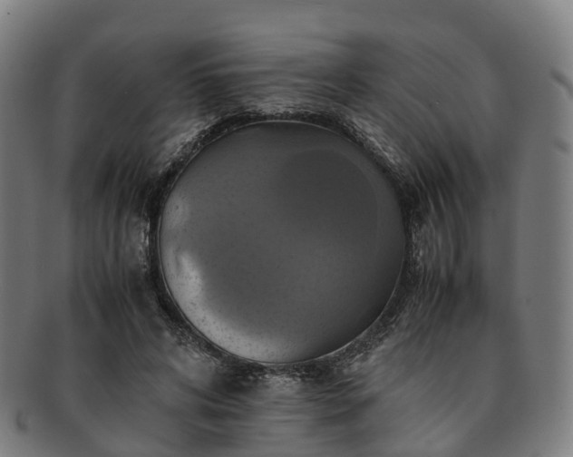 X0000091710592200708311118