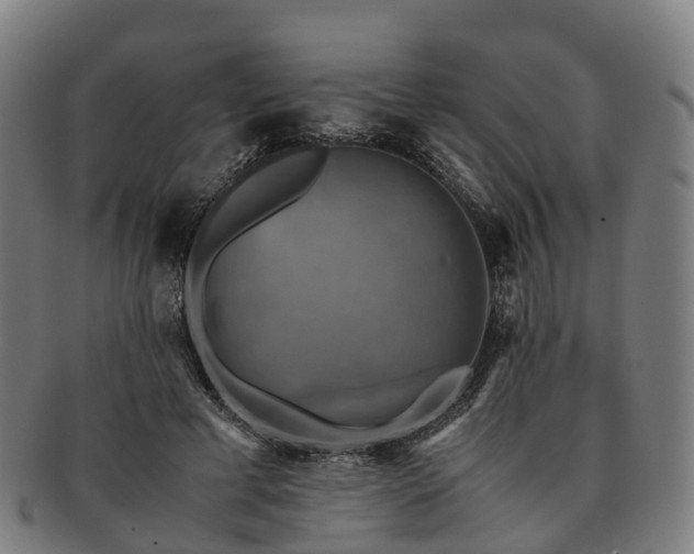 X0000091710593200708311118