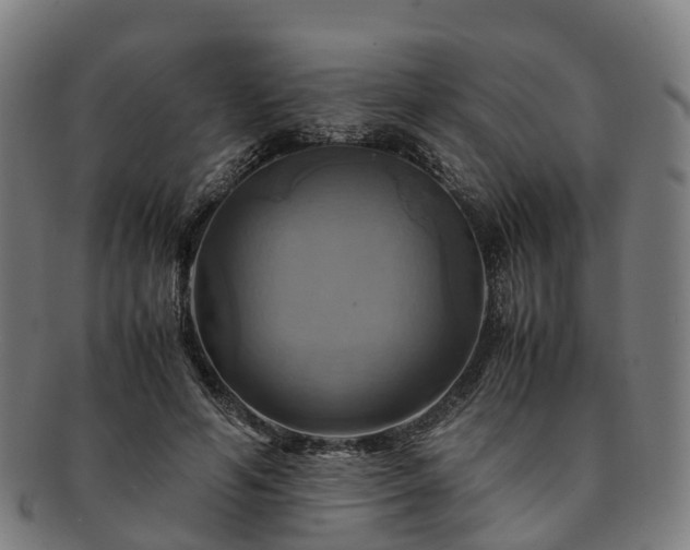 X0000091710594200708311118