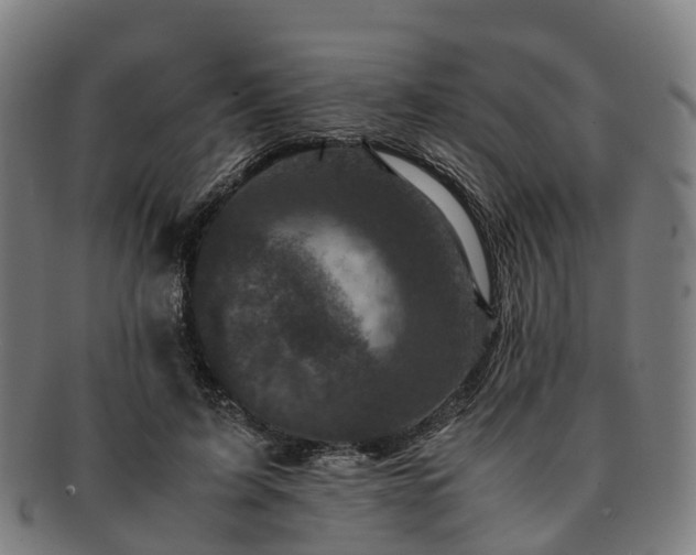 X0000091710595200708311118