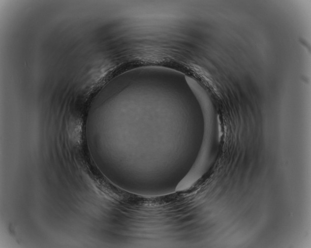 X0000091710596200708311117