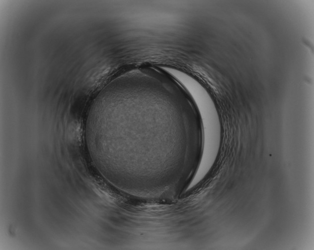 X0000091710597200708311117