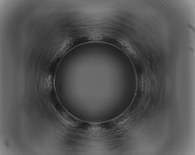 X0000091710598200708311117