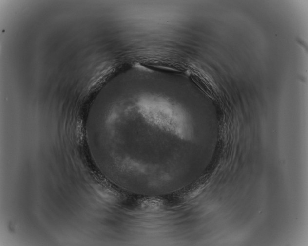 X0000091710599200708311117