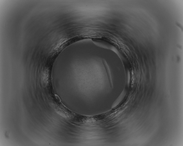 X0000091710600200708311117