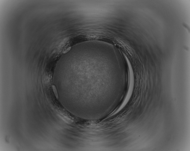 X0000091710601200708311117