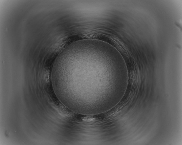 X0000091710602200708311117