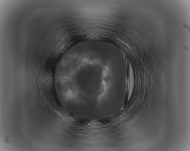 X0000091710603200708311117