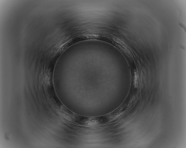 X0000091710604200708311117