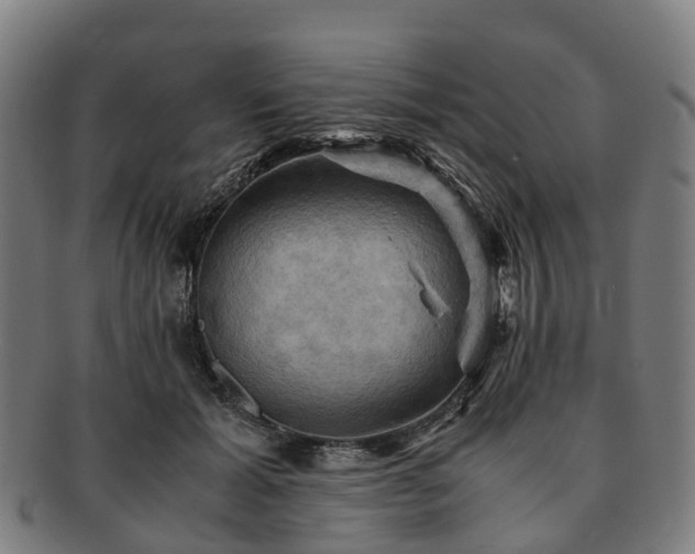 X0000091710605200708311117