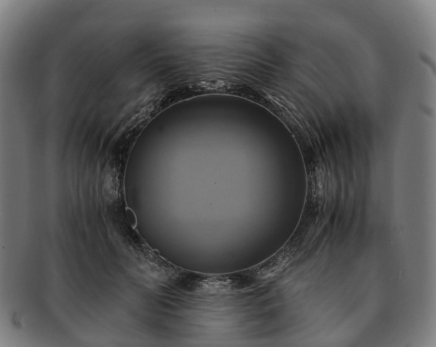 X0000091710606200708311117