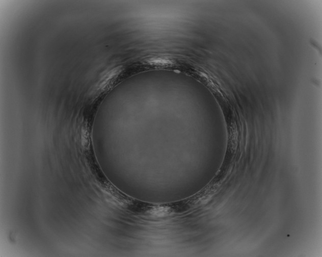 X0000091710609200708311117