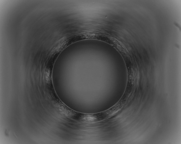 X0000091710610200708311117