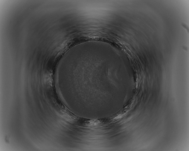 X0000091710612200708311117