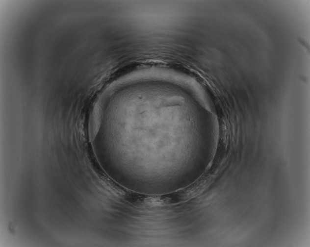 X0000091710613200708311117