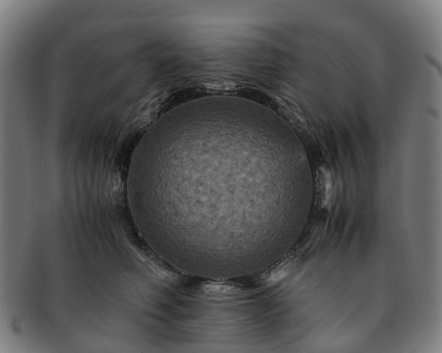 X0000091710614200708311117