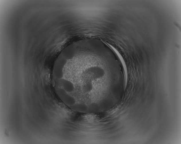 X0000091710615200708311117