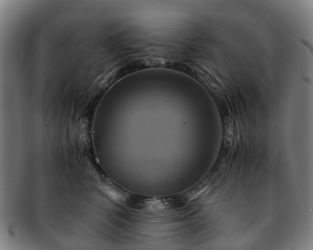 X0000091710616200708311117