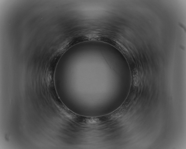 X0000091710618200708311117