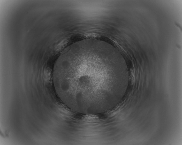 X0000091710619200708311117