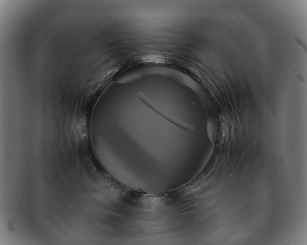 X0000091710620200708311117