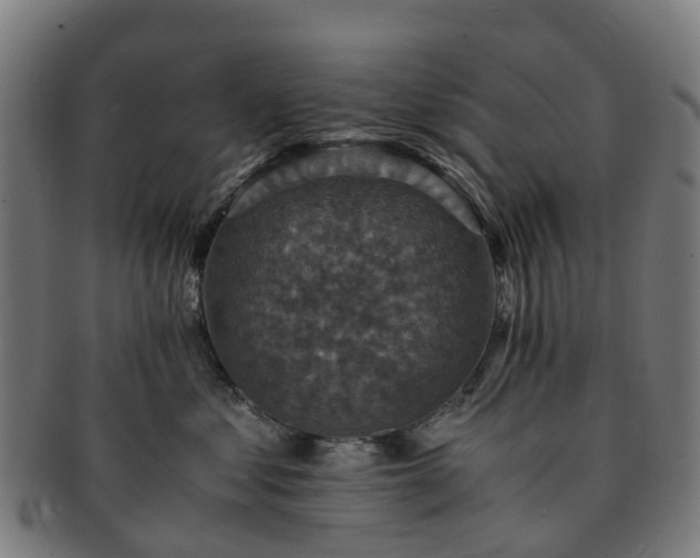 X0000091710621200708311117