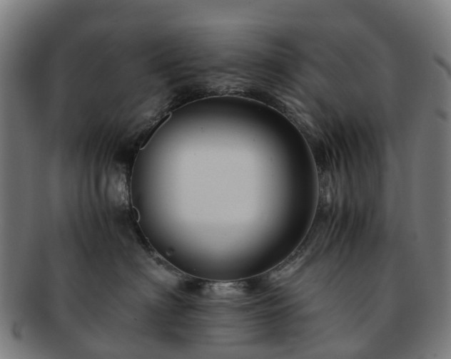 X0000091710622200708311117