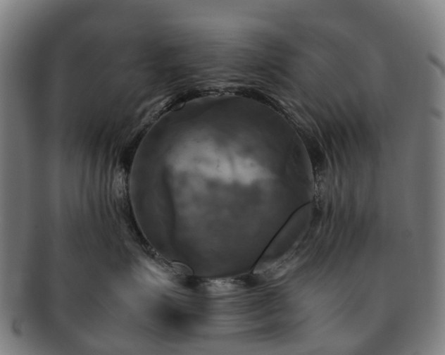 X0000091710623200708311117