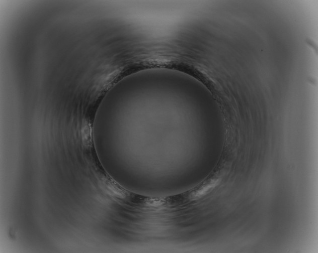 X0000091710624200708311117