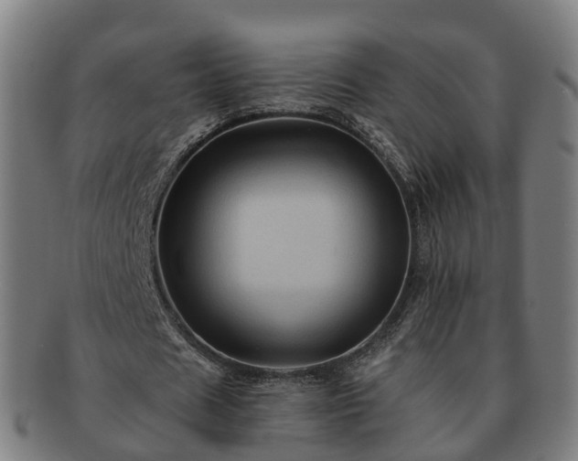 X0000091710625200708311116