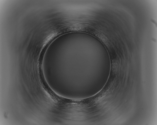 X0000091710626200708311116