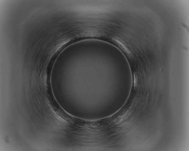 X0000091710627200708311116