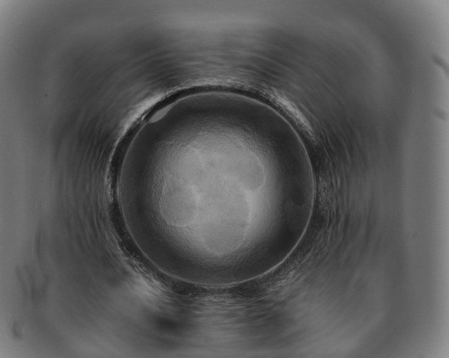 X0000091710628200708311116