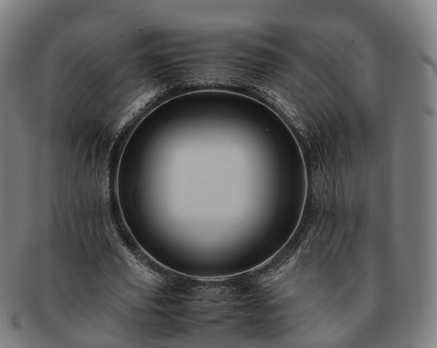 X0000091710629200708311116