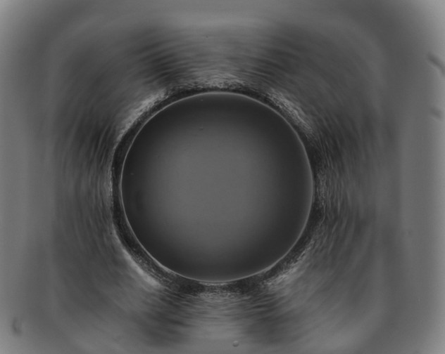 X0000091710630200708311117