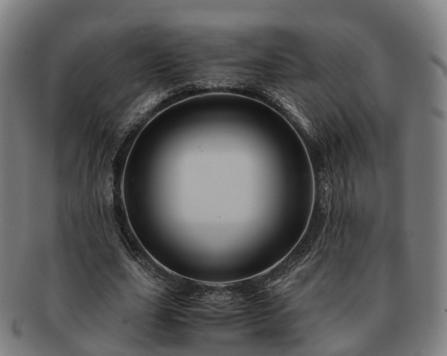 X0000091710631200708311117